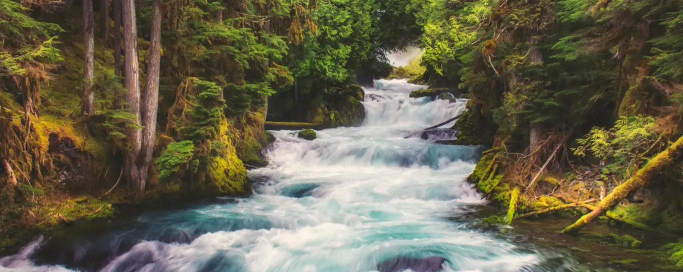 A waterfall cascades down a hillside in a lush, green forest on public lands.
